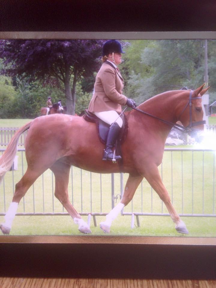 Becki Williamson and Birchgrove Ruby