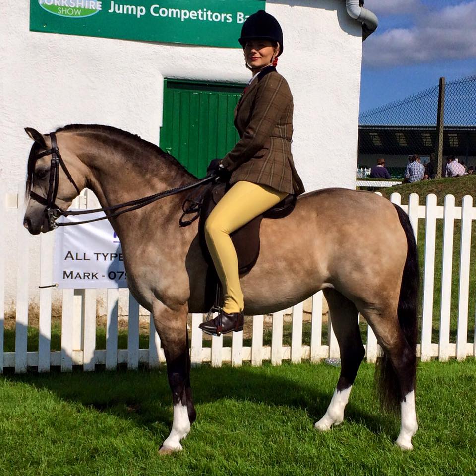 Steph Mansfield‎ & Janpete Golden Felicity