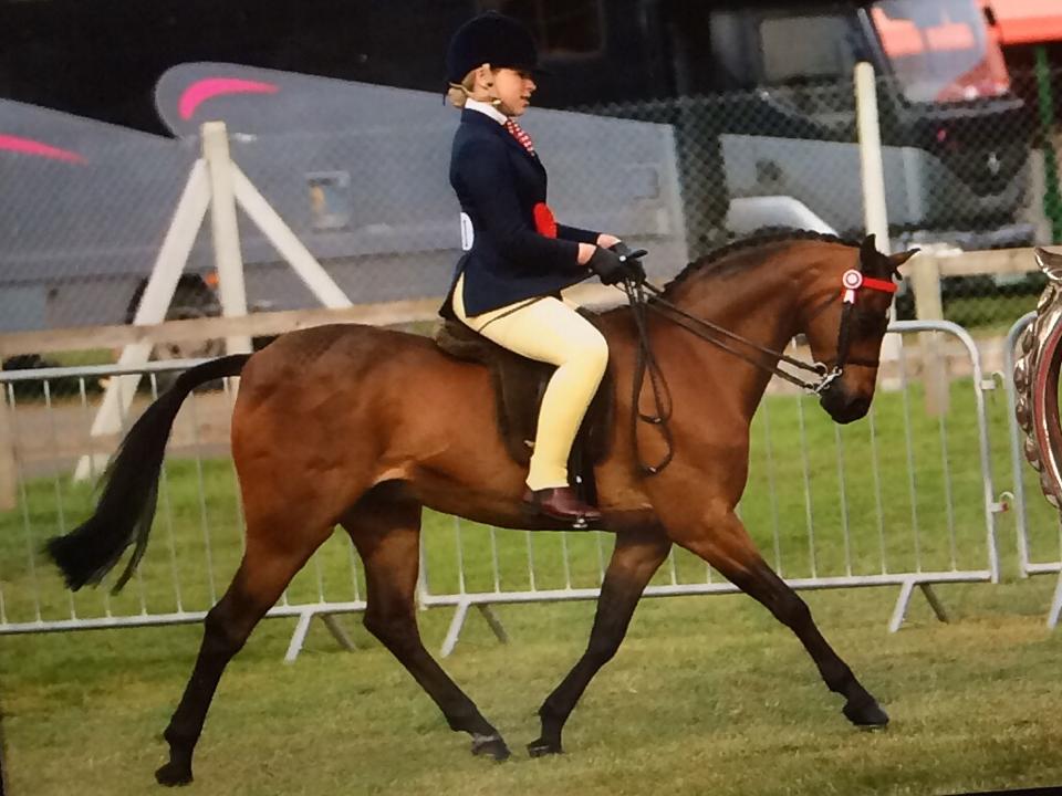 Brook water lord  and Hollie crowe