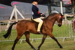 Brook water lord  and Hollie crowe