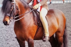 Zara Johnstone-Evans Pumphill Fandango