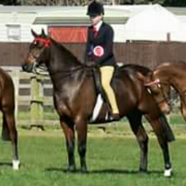 Cranbornes summer song and mia brown