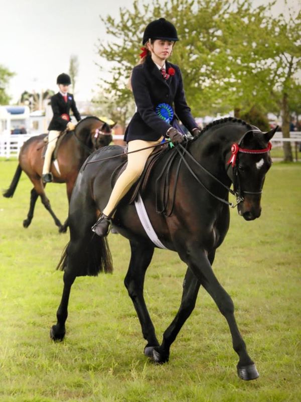 Greenbarrow Mr D'arcy and Phoebe Rockss
