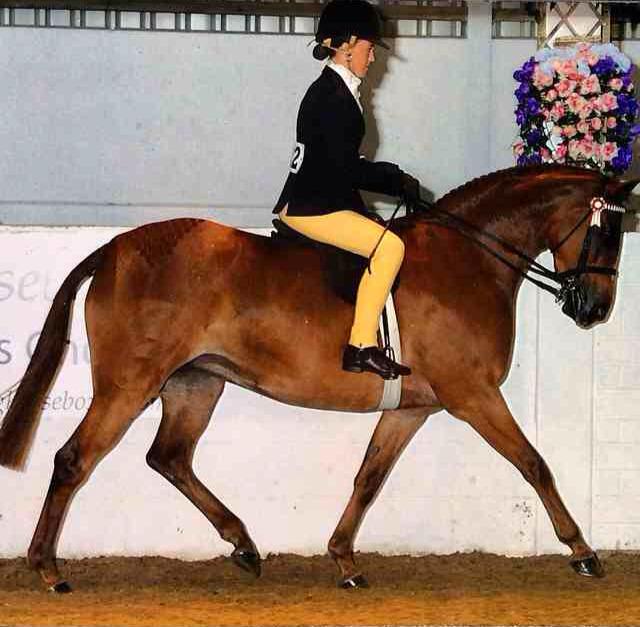 Zoe Burton and Rotherwood Peeping Star