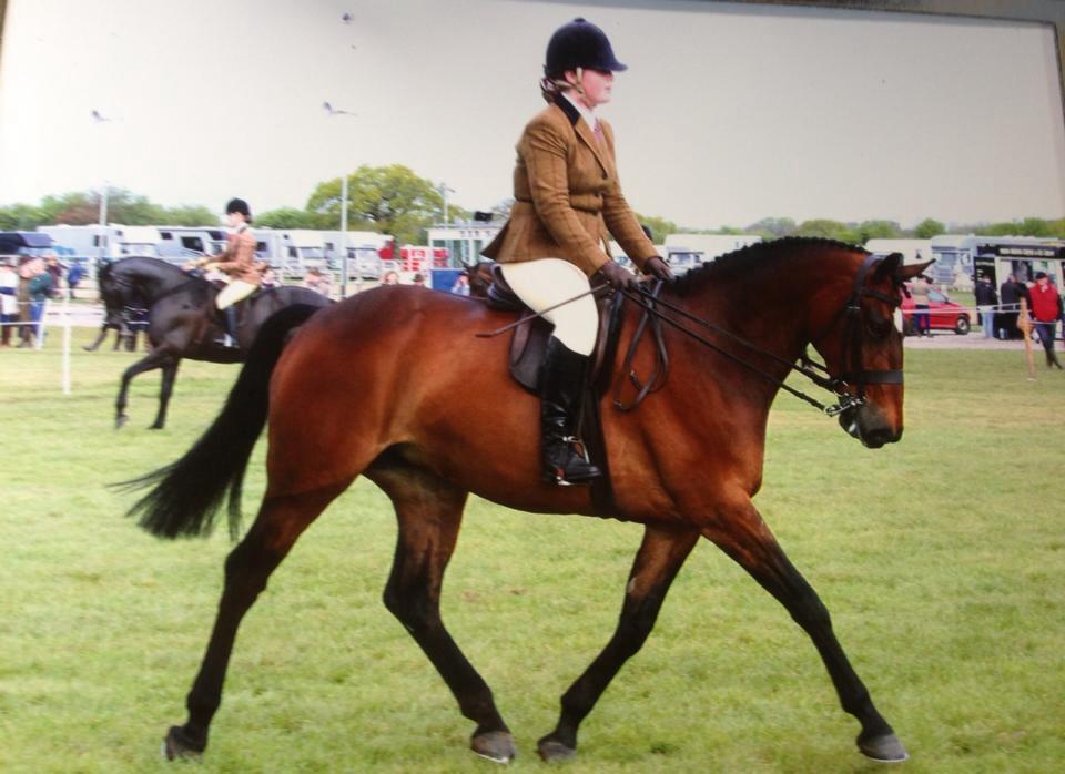 Carnsdale Affinity and Paige Johnson