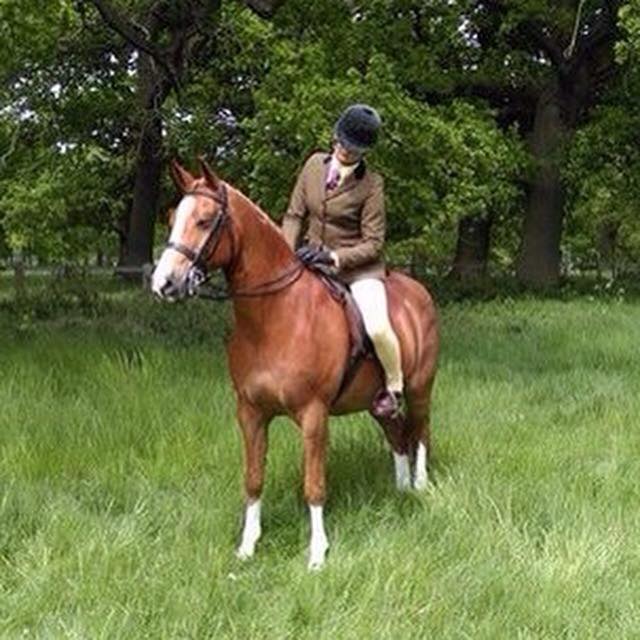 Lucy Vickerton & Northern sensational