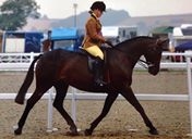 Jemoon high society & Bronte Thompson