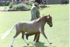ScottCreek Monarch Copper Penny & Barbara Moss