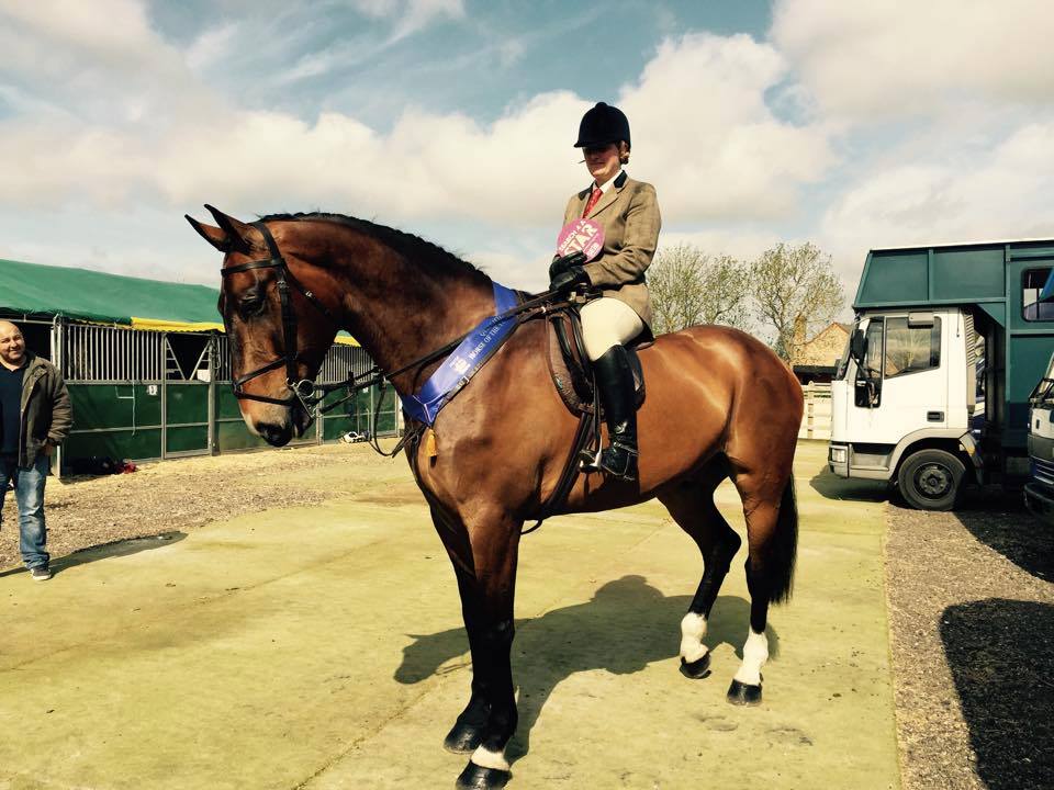 Sian David and General Law