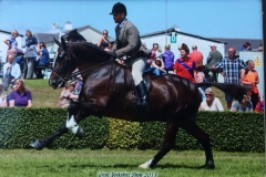 Vincent Seddon & boss Murphy