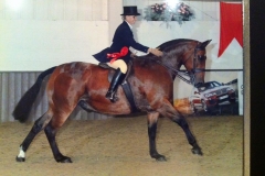 I'm a star ridden & annette Hance