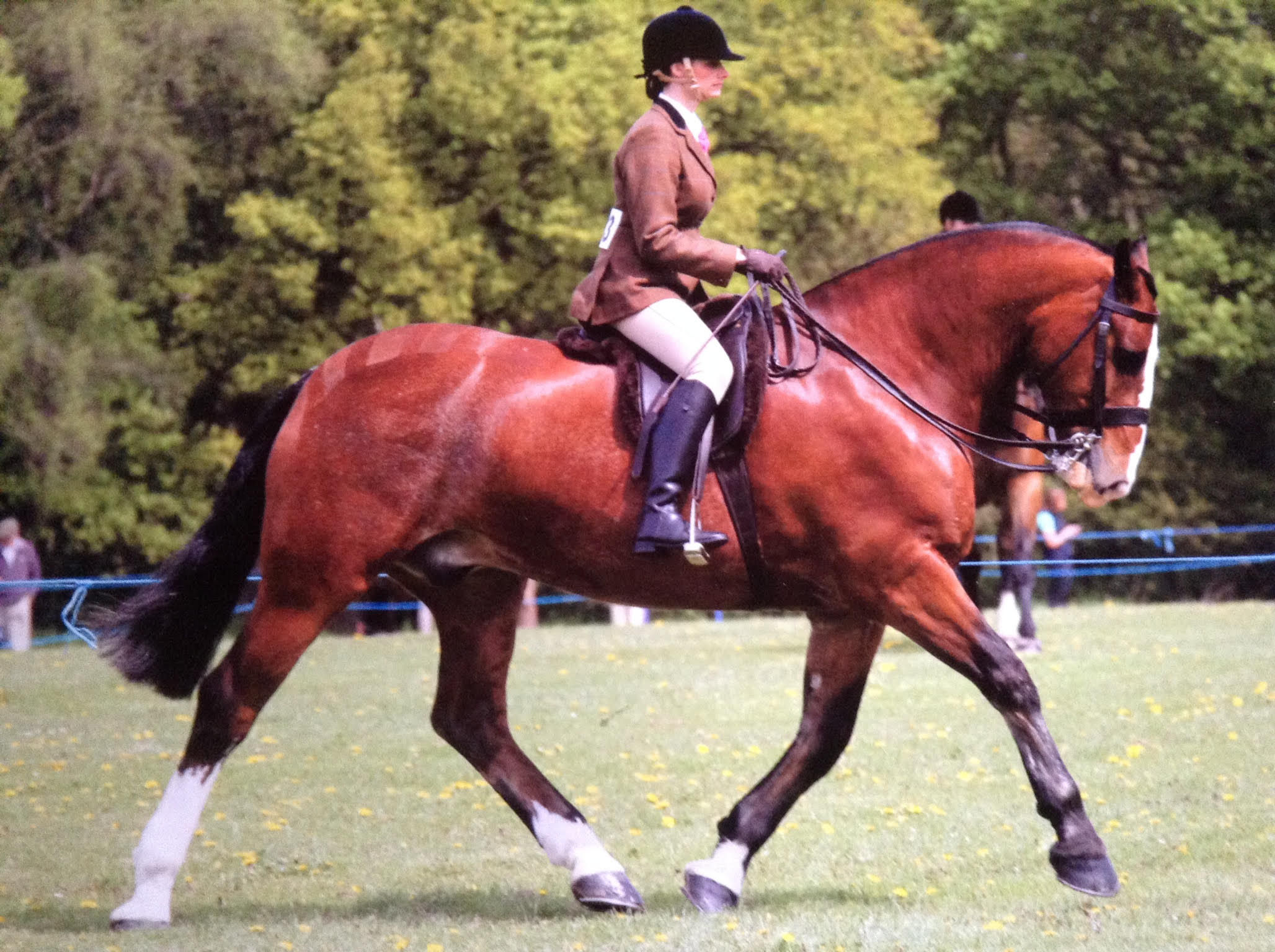 Kate Slattery & Cointreau II