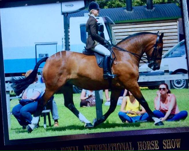 Lizzie Oseman & Ballyell Turbo