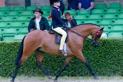 Tabitha Wood &  Ardenhall Blenheim