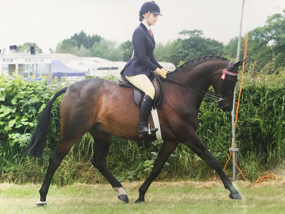 Isabella Mears & Marque of Distinction