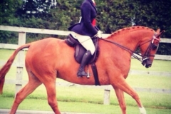 Vicki Brooks & Red Rocket