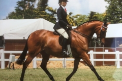 Donna Bamonte & Valentine Jak