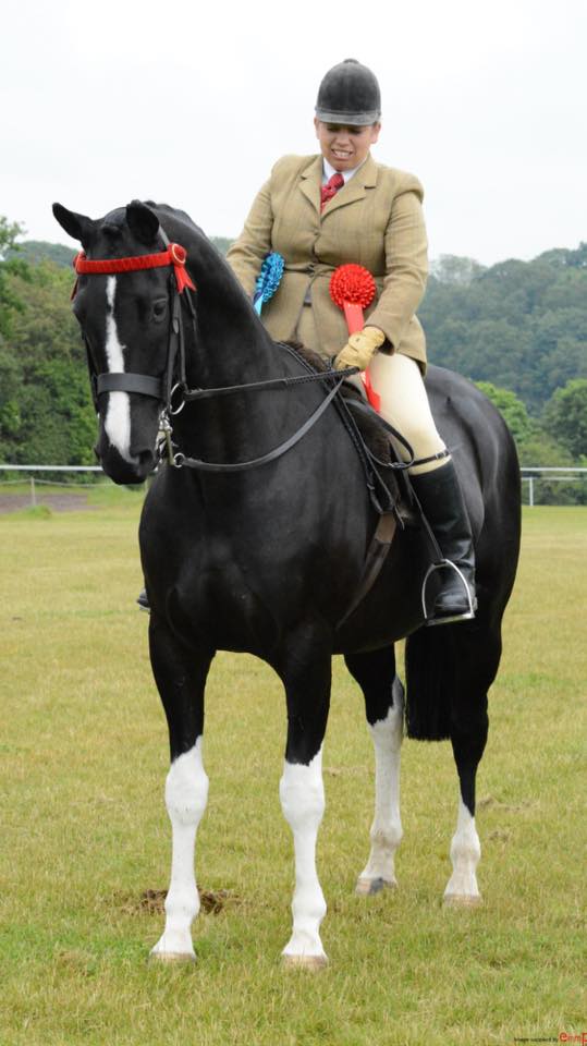 Shelley Wheeler‎ & UpDown Chusan