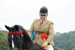Shelley Wheeler‎ & UpDown Chusan