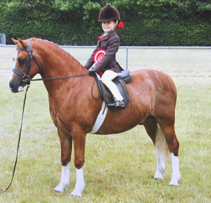 Gracie Aungier and Uphill Toy Soldier