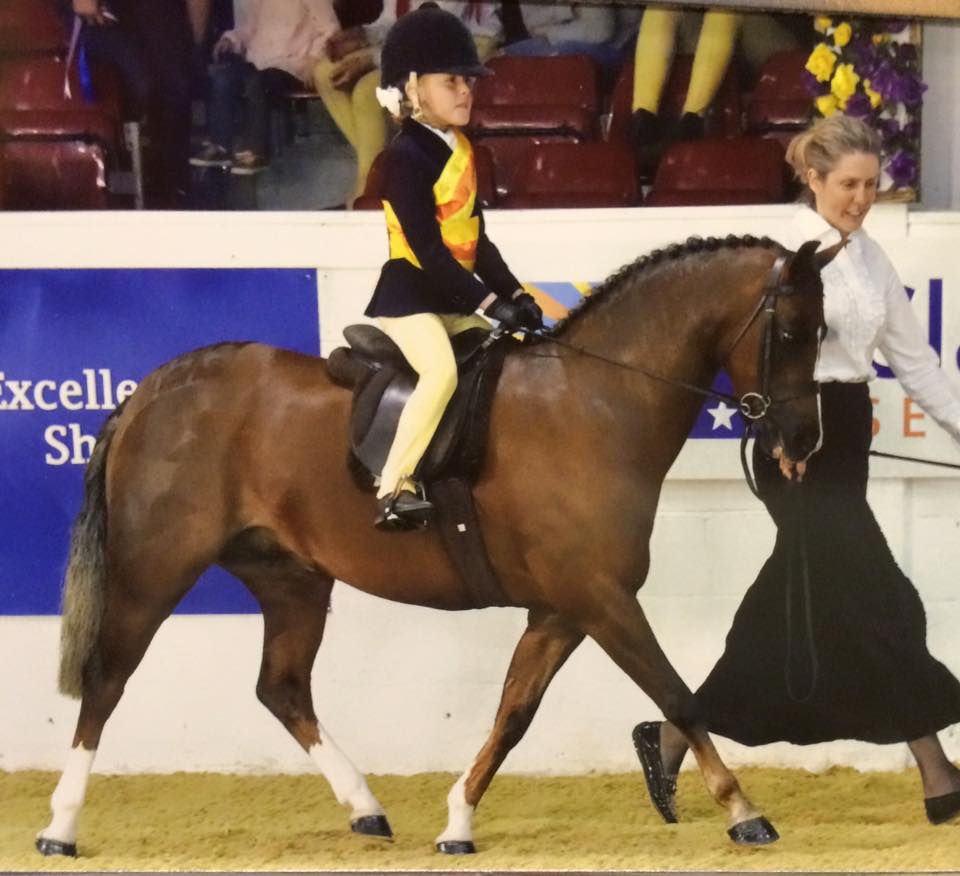 Gryngallt Picture Frame & Eugenie Godfrey-Faussett
