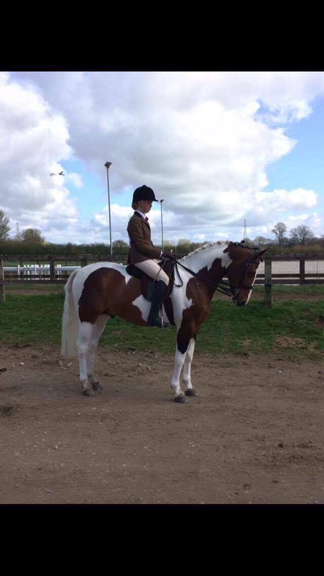 Diamond storm Murphy Kayleigh smith