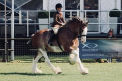 Isla Miller and Stobilee Zac