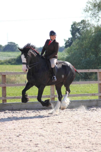 Rose-Littler-and-Hillmoor-Lucky-Lady