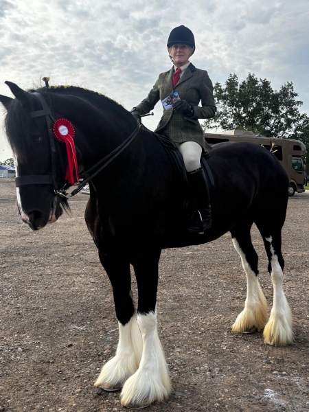 Anne-nolan-Horse_Pony-Ringston-Regina-g