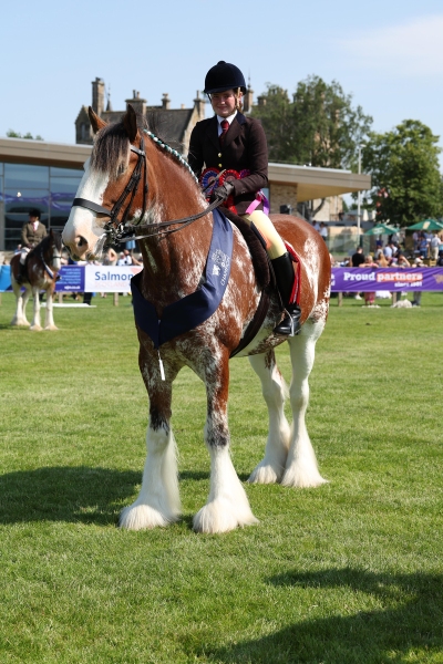 Kaitlyn-Marshall-Horse_Pony-Burgess-outon-Miracle