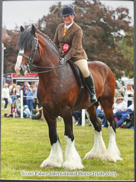 Kati-Rhodes-Horse_Pony-Bosley-Minns-George