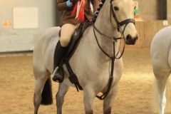 Evie-lake-Horse_Pony-Slieve-bloom-turlough