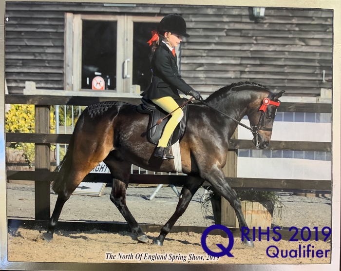 Milly Gilbert and Ravara Mr Todd