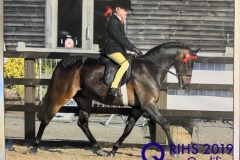 Milly Gilbert and Ravara Mr Todd