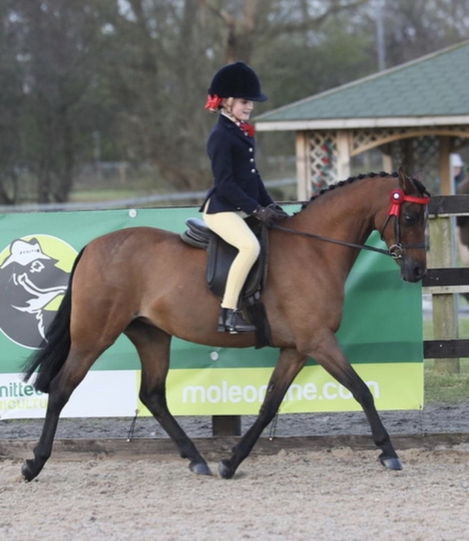 Millie-Binks-and-Woodview-Ianthe