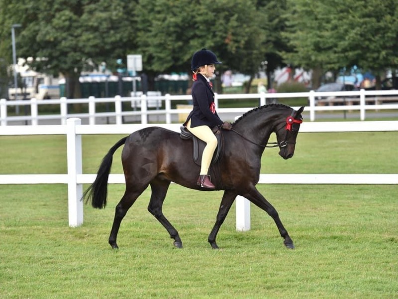 sme-Atkinson-and-Stockhill-Prince-Edward
