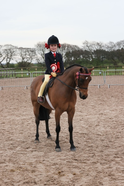 The North Of England Spring Show
