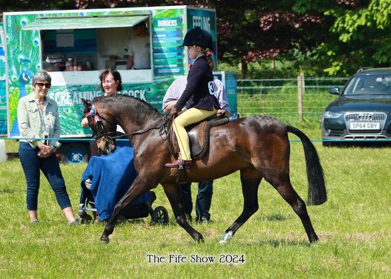 Jessica-Whiteford-and-Hollybush-Toy-Soldier