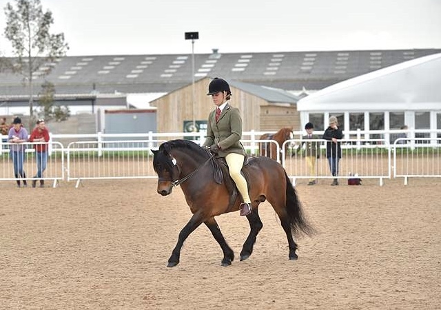 Megan Hewitt and Dunmere Woodruff