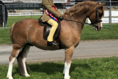 Lexi Brash and Wellbank Gabriel