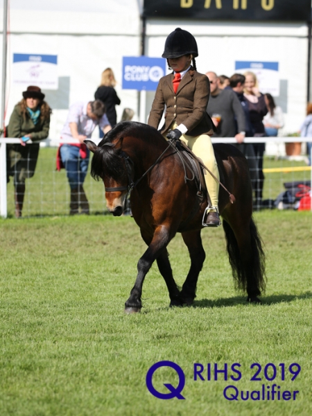 Maisie Chester and Coppinshill Choas