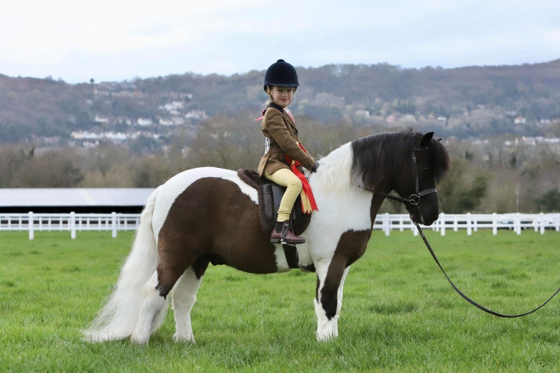Alexia-Lilley-and-Briar-Puzzle