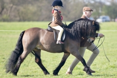 Zara-Constable