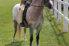 Poppy-Hughes-and-Wellesbourne-Prince-Charming