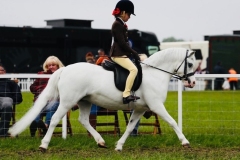 Evie-walsh-and-Churchwood-obsession