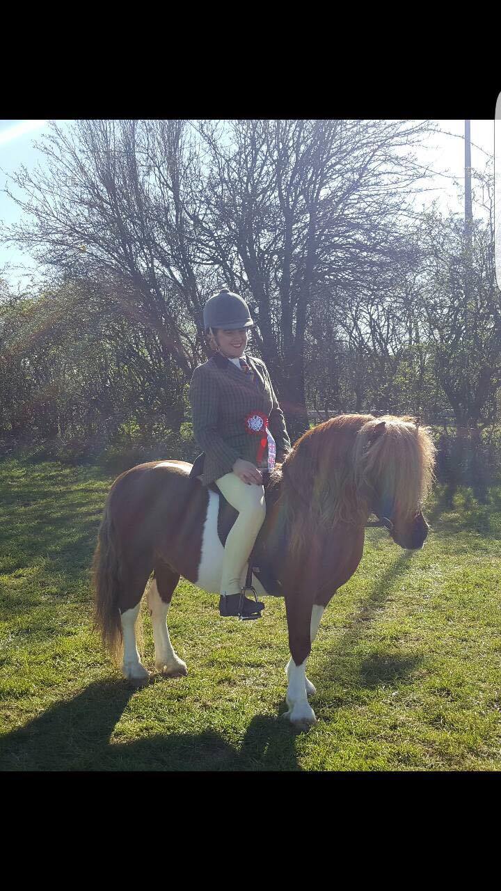 Lotuspoint Cassius ridden by Emily Stobbart