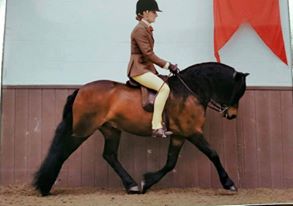 Pumphill fandango and zara johnstone