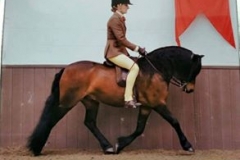 Pumphill fandango and zara johnstone