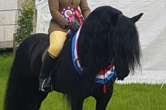 Murthwaite Oliver and Lucinda Stockley