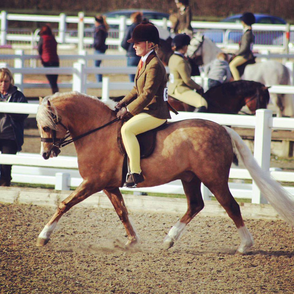 Cadlanvalley Bentley rider Nicole Wayman
